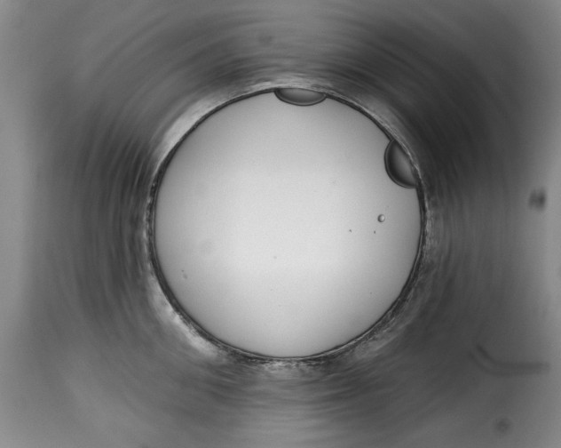 X0000115360906200911241213