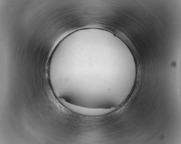 X0000115360908200911241213