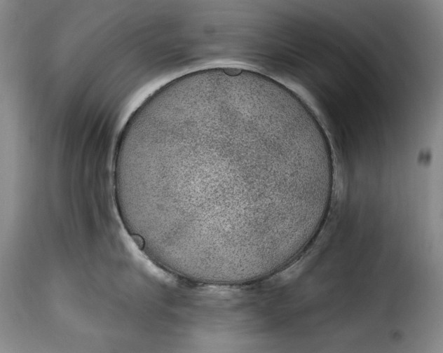 X0000115360910200911241213