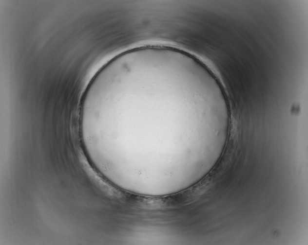 X0000115360911200911241213