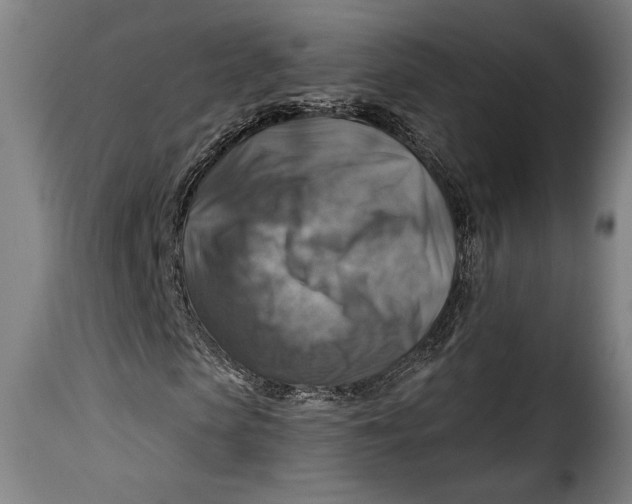 X0000115360913200911241212