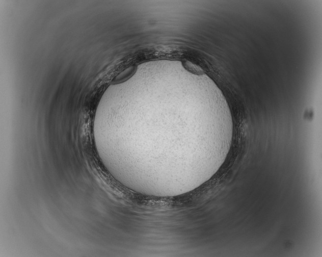 X0000115360914200911241212