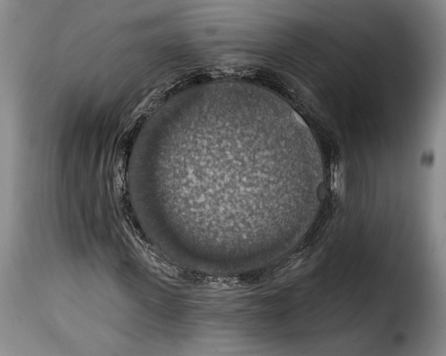 X0000115360915200911241213