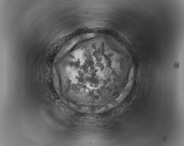X0000115360917200911241213