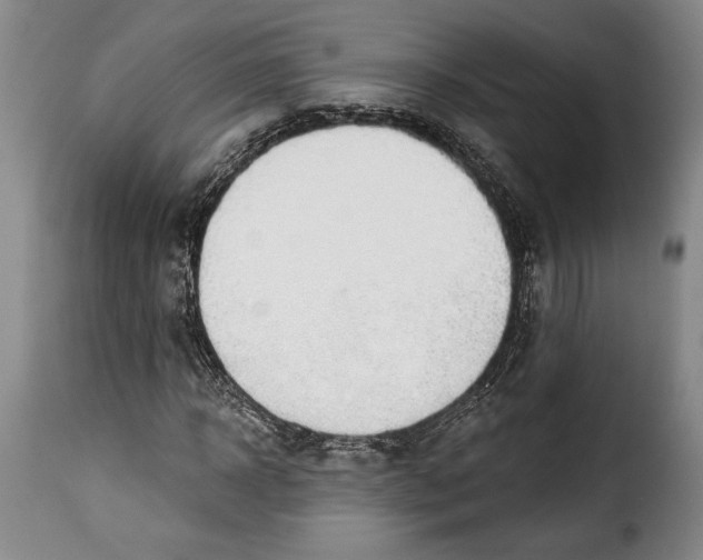 X0000115360918200911241213