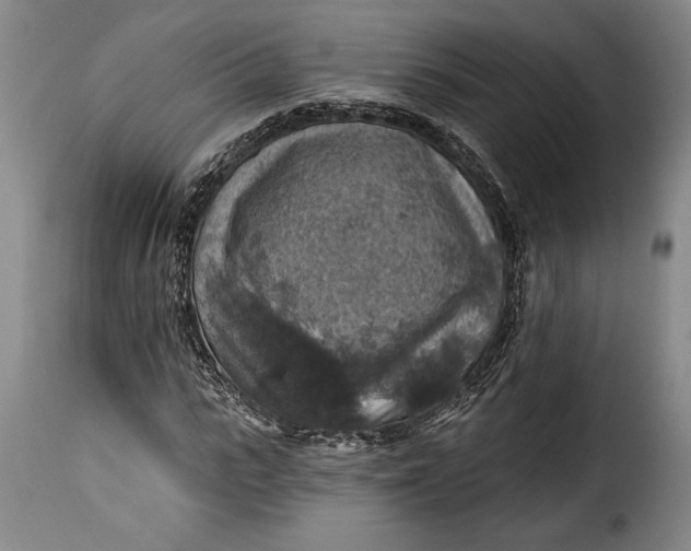 X0000115360919200911241213
