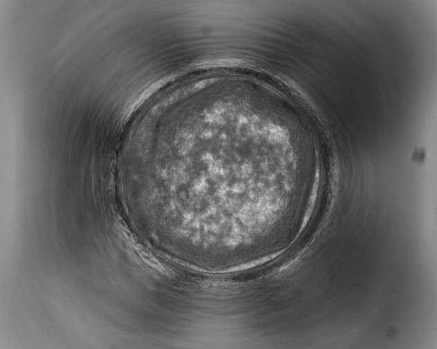 X0000115360921200911241213