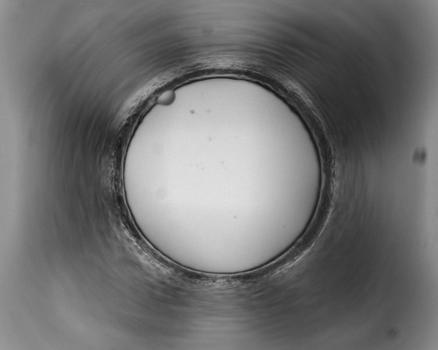 X0000115360922200911241213