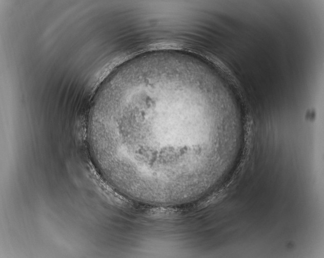 X0000115360929200911241213