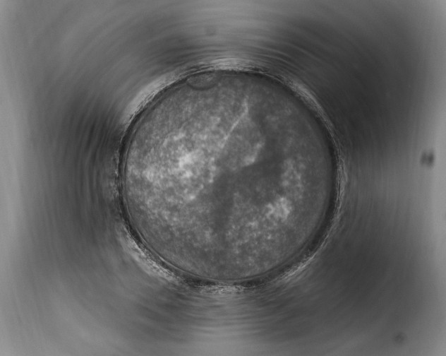 X0000115360930200911241213