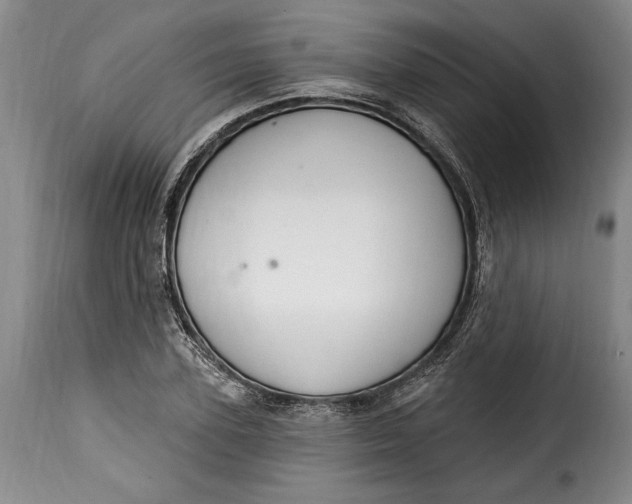 X0000115360931200911241213