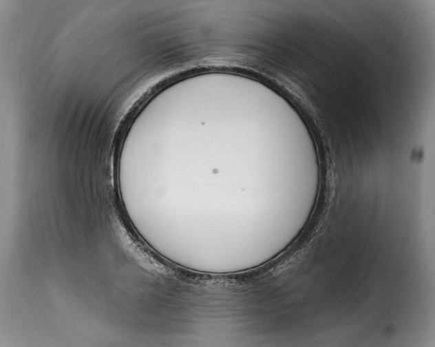 X0000115360934200911241213