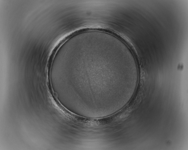 X0000115360935200911241213