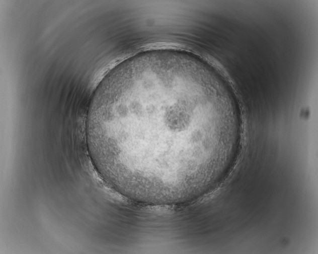 X0000115360937200911241213