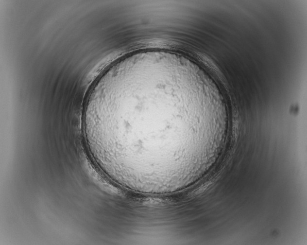 X0000115360938200911241213