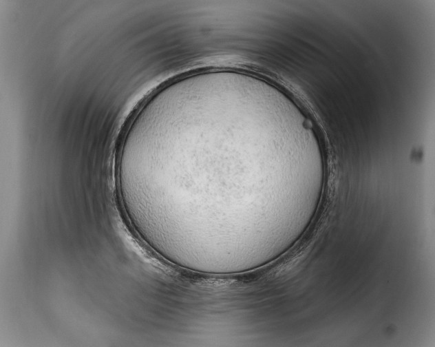 X0000115360939200911241213