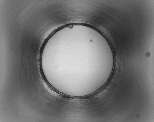 X0000115360942200911241213