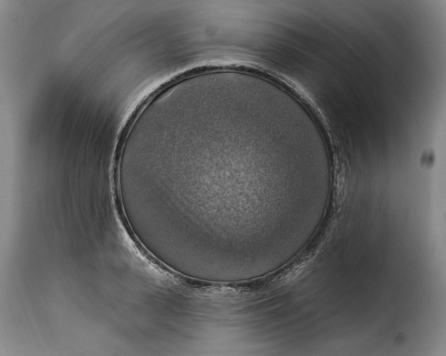 X0000115360943200911241213