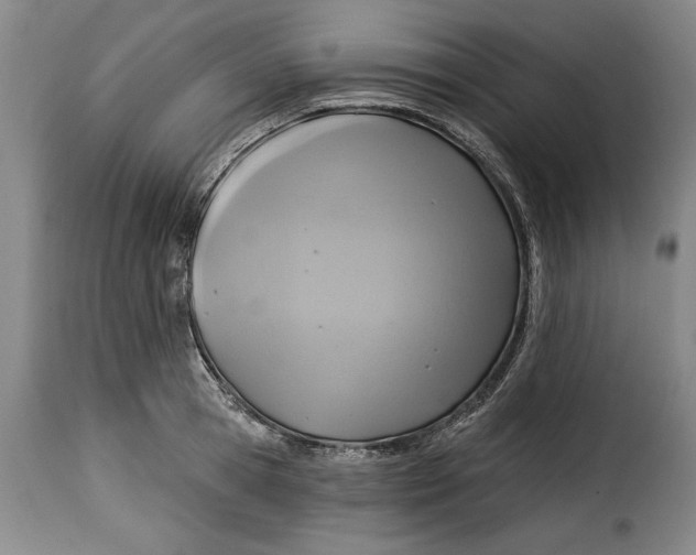 X0000115360945200911241213
