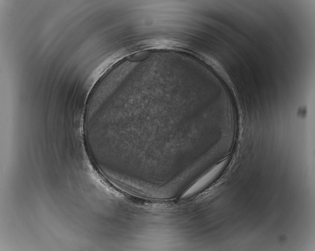 X0000115360946200911241213