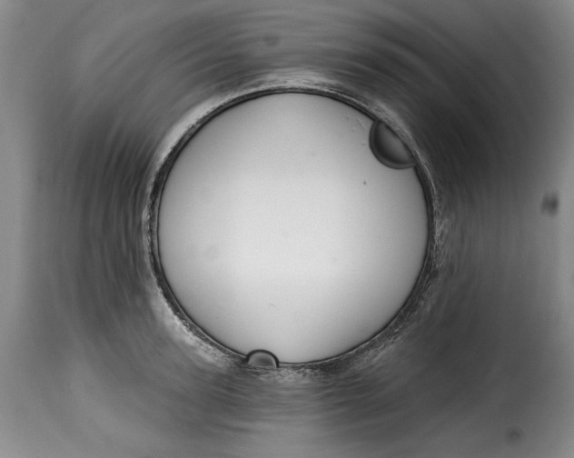 X0000115360947200911241213
