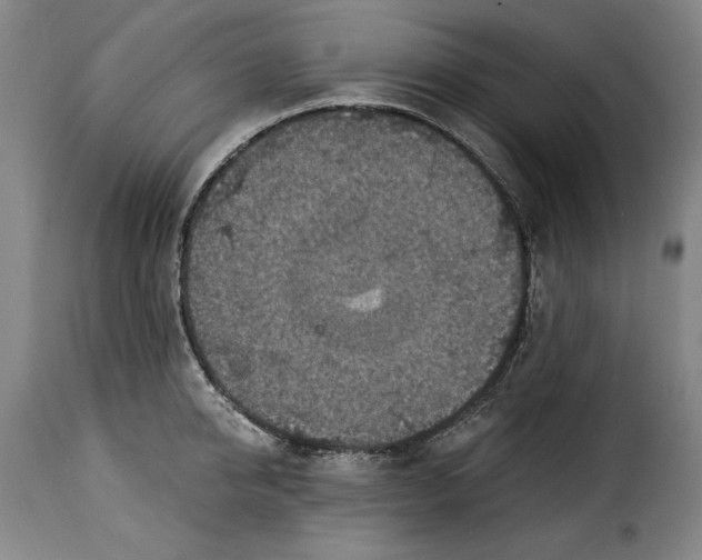 X0000115360950200911241213