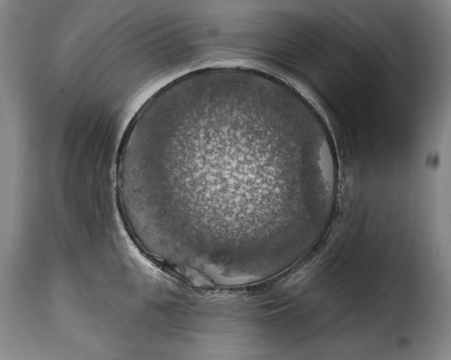 X0000115360951200911241213