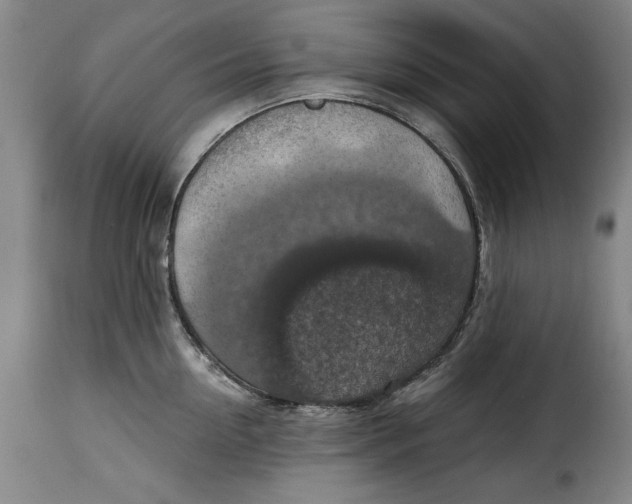X0000115360954200911241213