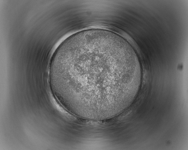 X0000115360955200911241213
