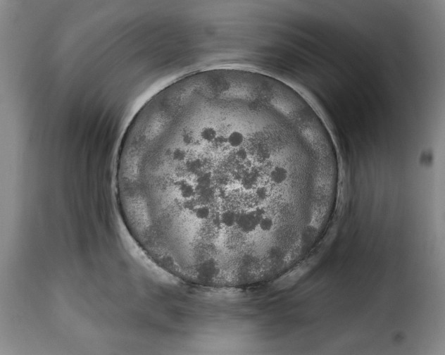 X0000115360957200911241213