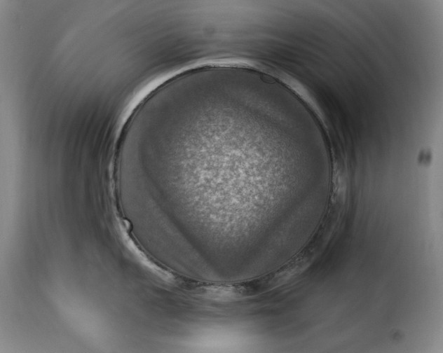 X0000115360959200911241213