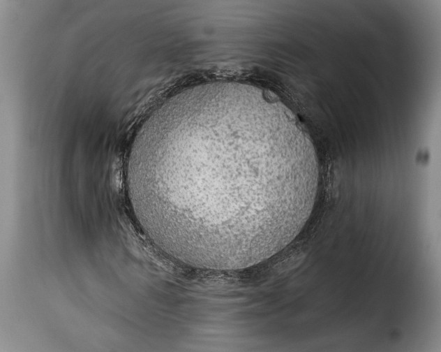 X0000115360962200911241212