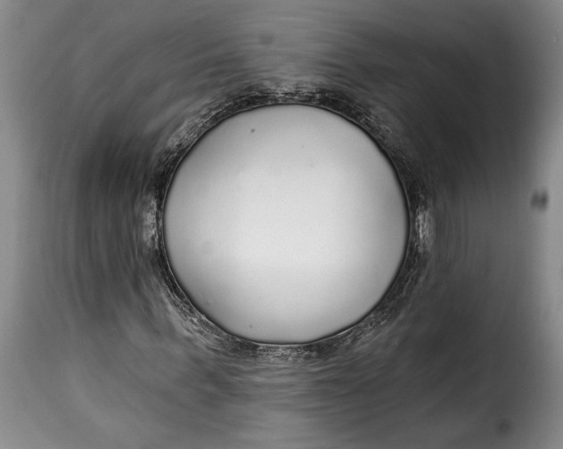 X0000115360963200911241212