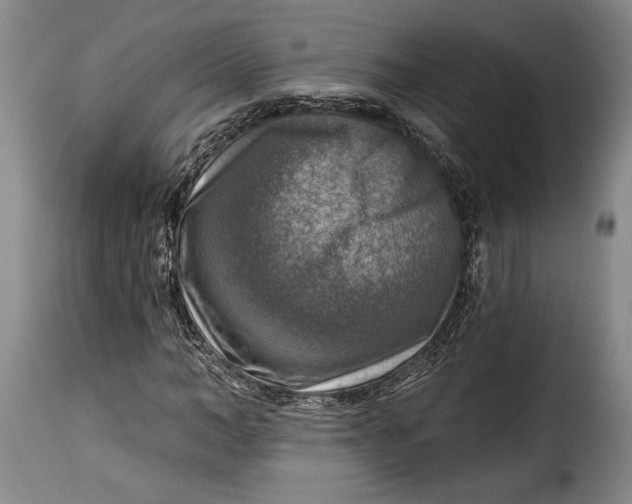 X0000115360966200911241212
