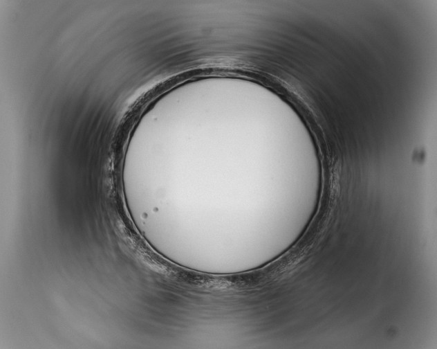 X0000115360971200911241212