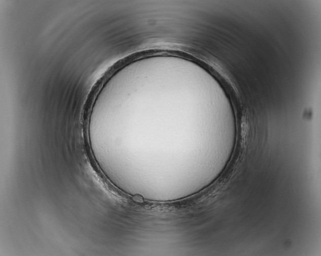 X0000115360972200911241212