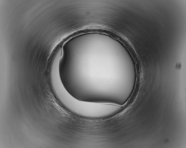 X0000115360973200911241212