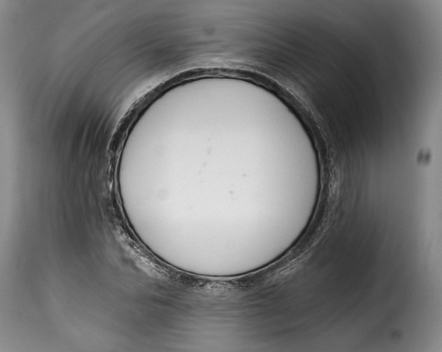 X0000115360974200911241212