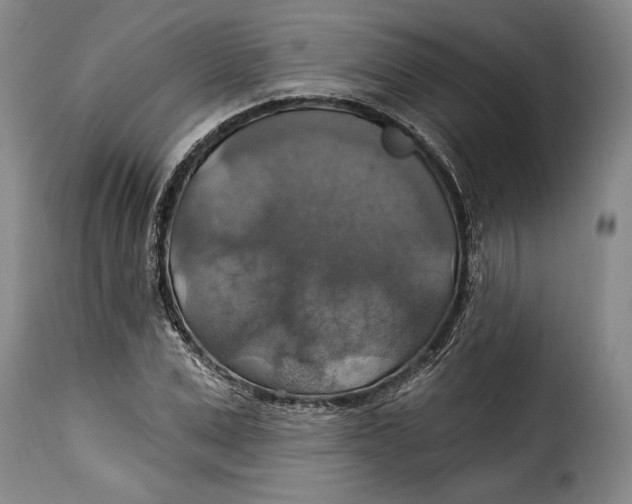X0000115360975200911241212