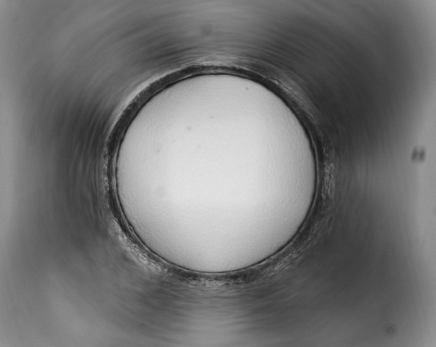 X0000115360976200911241212