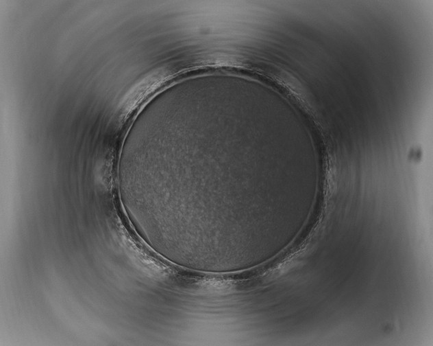 X0000115360977200911241212
