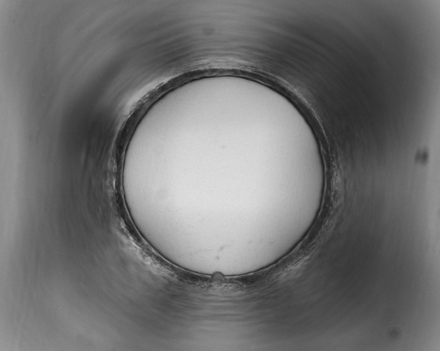 X0000115360979200911241212