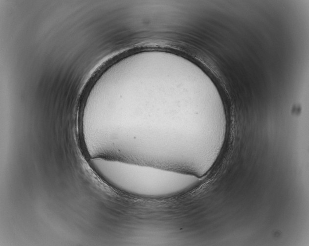 X0000115360984200911241212