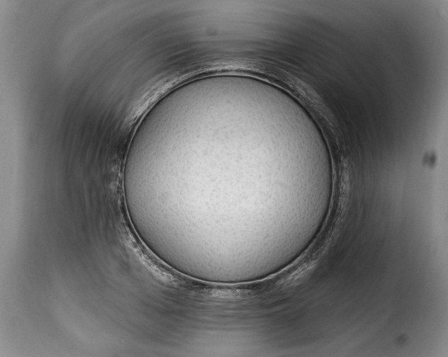 X0000115360985200911241212