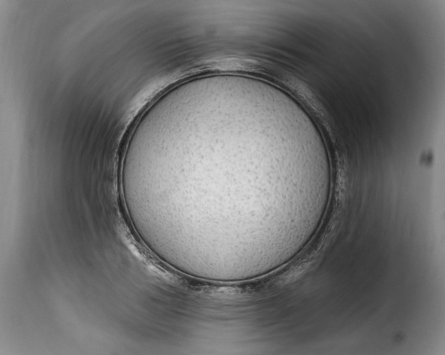 X0000115360986200911241212