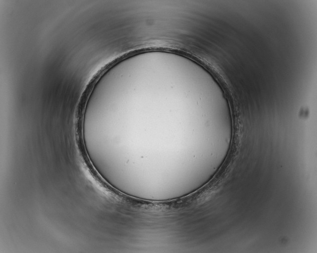 X0000115360991200911241212