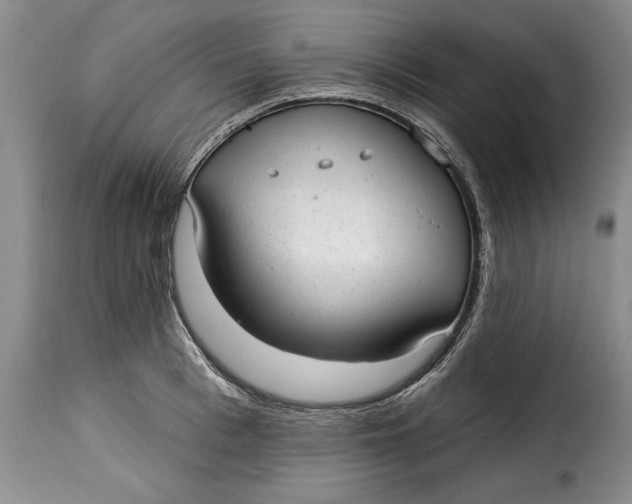 X0000115360993200911241212