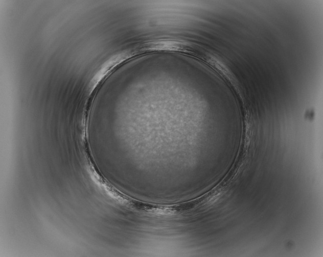 X0000115360994200911241212