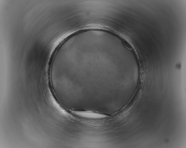 X0000115360995200911241212
