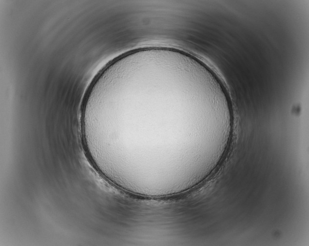 X0000115360996200911241212